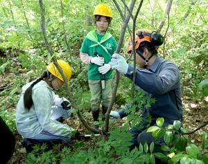 森の手入れの大切さを学んだ子どもたち＝１３日、上越市のくわどり市民の森