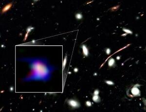 巨大銀河団と極小銀河「LAP1―B」(四角で囲んだ部分)のイメージ((C)NASA,ESA,CSA & K.Nakajima et al.,Nature)