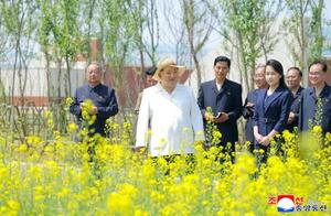 北朝鮮・新義州で開花したばかりの菜の花畑を視察する金正恩朝鮮労働党総書記(手前左)と娘(同右)=5月31日(朝鮮通信=共同)