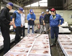 地物の魚が並び、にぎわう柏崎魚市場の競り=柏崎市半田1