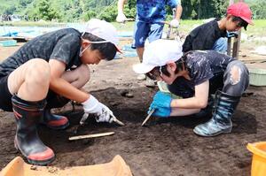 発掘作業を体験する小千谷市の南小の児童ら=小千谷市上片貝