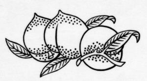 綿布のブランド「三ツ桃」のマーク