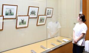 多くの画家が描いた良寛像を楽しめる特別展=新潟県長岡市島崎