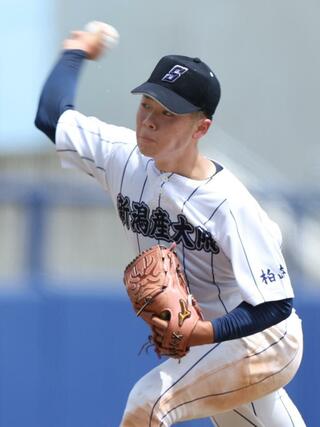 新潟産大付－新発田農　新潟産大付先発の小平乃希＝７月１９日、新潟市中央区長潟のハードオフ・エコスタジアム