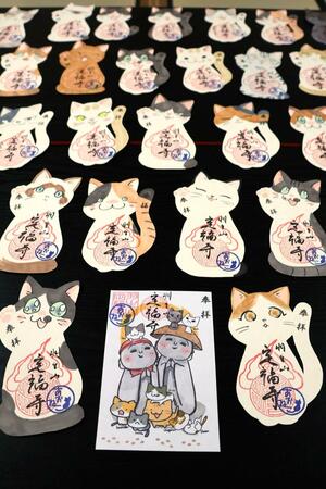 定福寺で参拝者に渡される猫の御朱印。地蔵と猫のイラストを印刷した御朱印(手前中央)と、猫の形をした紙に直接描き入れた御朱印がある=田上町羽生田