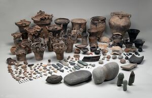 国の重要文化財に指定される野首遺跡出土品（小川忠博さん撮影、十日町市提供）