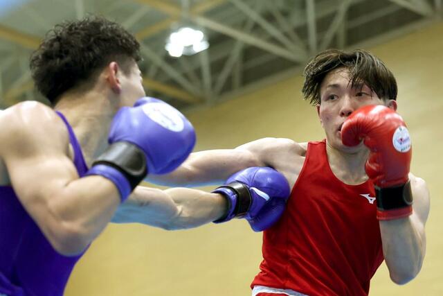 成年男子ウエルター級決勝　右で攻める六井和（右・拓大）＝滋賀県東近江市