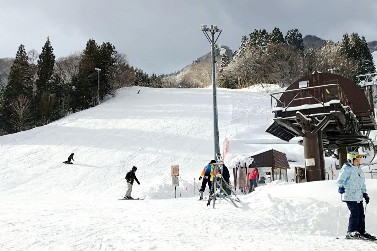雪不足でスキー場3割減でもインバウンドは過去最高…村上市「ぶどう