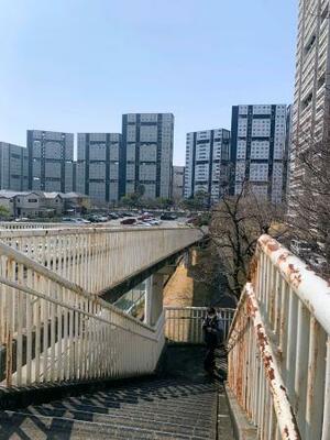 　芦屋浜シーサイドタウンを歩いた研究参加者が撮影した写真＝２０２３年２月、兵庫県芦屋市（松山聖央岡山県立大准教授提供）