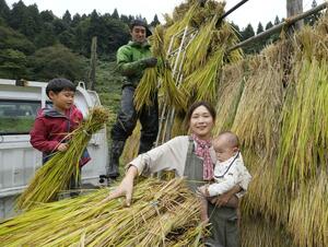 次男の楽を抱きかかえ、刈り取った稲を稲架に掛ける諸岡江美子。夫の龍也、長男の遊の家族4人で作業した=妙高市(撮影・林昌三)