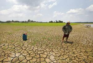 高温で干上がったアマゾンの川(AP=共同)