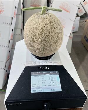 melONが新潟市の補助金を活用して導入したメロン用糖度計