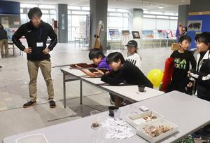 縁日を模した遊びに来場者が熱中したこどもまつり=柏崎市学校町