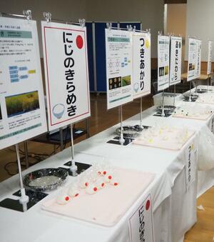 業務用米商談会の試食コーナーに並べられた「にじのきらめき」=2024年12月、東京都内
