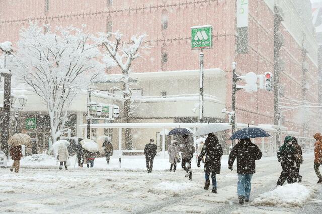 雪が降り続き、平年を大きく上回る積雪となった新潟市中心部＝２４日、新潟市中央区の万代地区