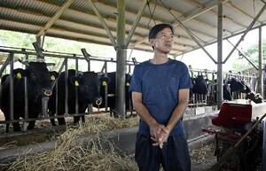 沖縄県・石垣島で牛を育てる畜産農家の新本信一郎さん＝２０２５年１１月