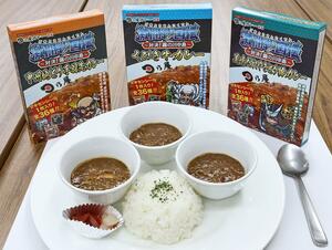 上杉謙信をパッケージにあしらった上越くびき牛カレー(中央)と上田の美味だれ焼きとり豚カレー(右)、甲府の甲州地どり手羽先カレー
