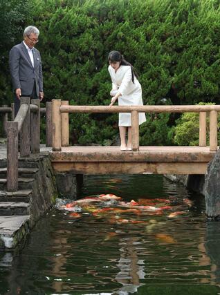 錦鯉の餌やりをされる愛子さま=8日、小千谷市の錦鯉の里