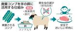 廃棄コンブを羊の餌に活用する仕組み