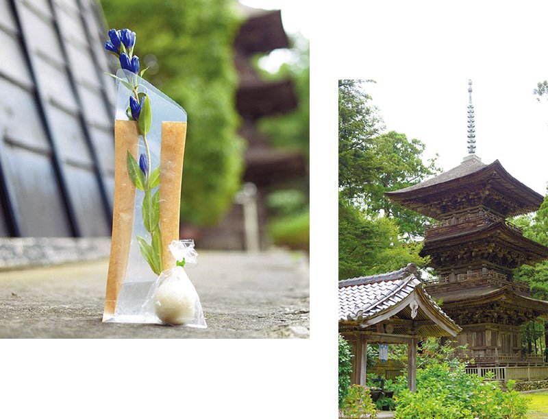 そよぐ風も日差しも心地よい秋 胎内 で自然を感じる体験を楽しもう 新潟日報デジタルプラス