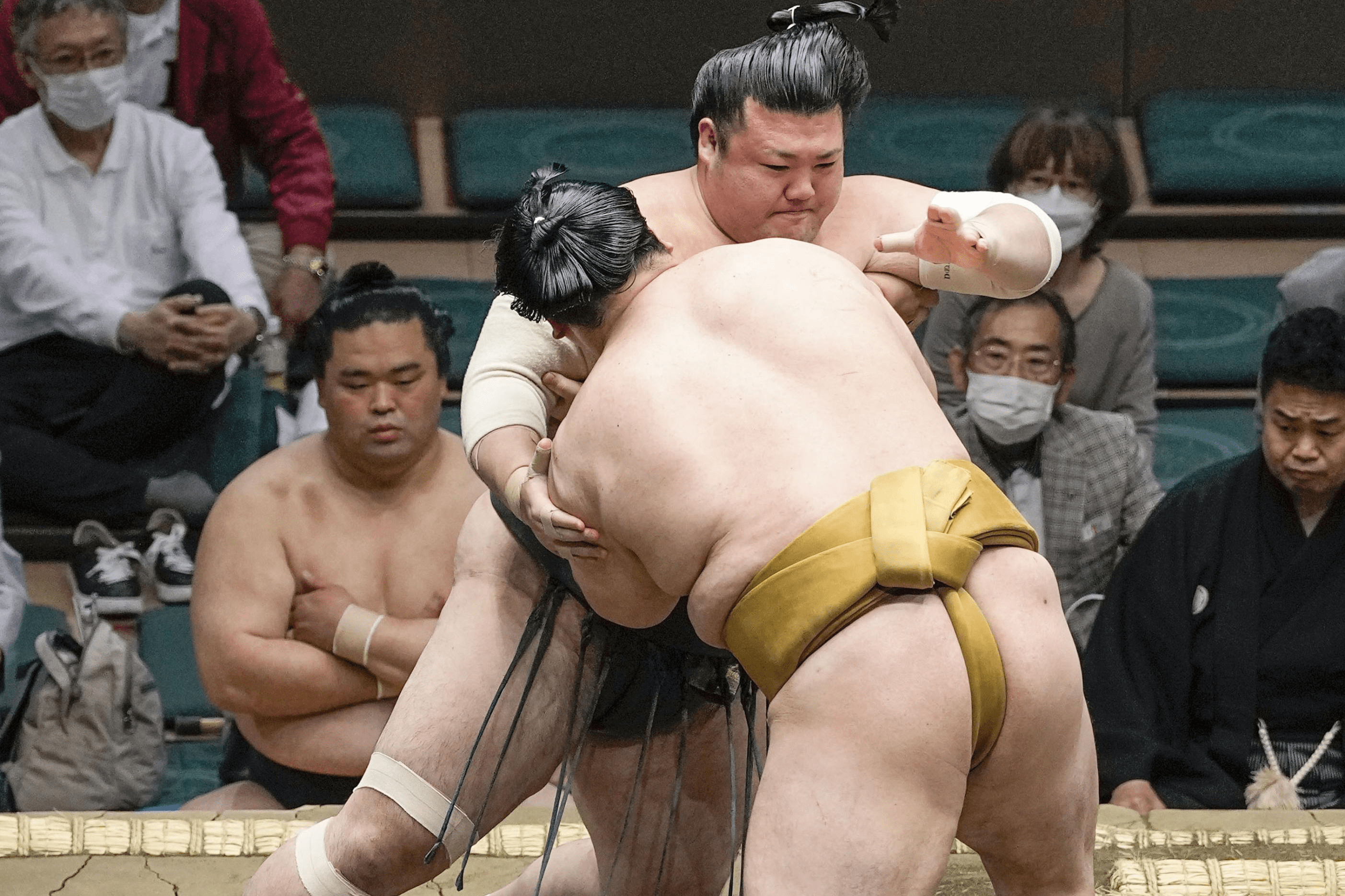 豊山が連敗 朝乃若は3勝目 新潟日報デジタルプラス 豊山が連敗 朝乃若は3勝目 新潟日報デジタルプラス
