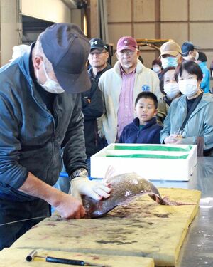 「やおやまつり・おさかなまつり」で行われた魚の神経締めの実演＝柏崎市半田１