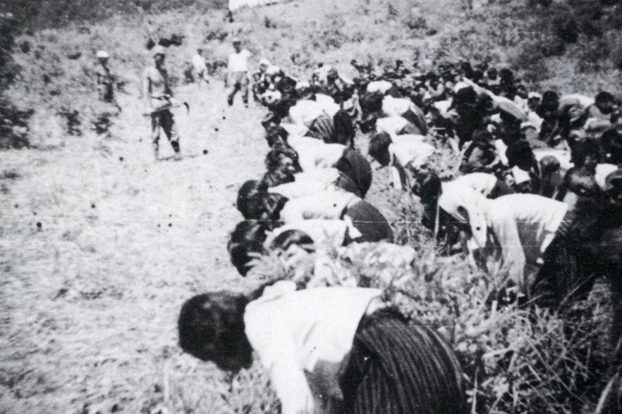 夏休みに戦争が終わった 国民学校生徒の日記 絵が語る戦争：子供たちが見た景色／下 終戦描くことなく 絵日記の