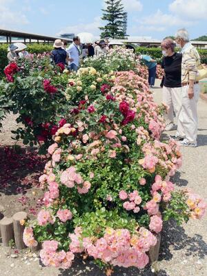 全面オープンから10周年を迎えるいくとぴあ食花。さまざまな花を観賞できる「キラキラガーデン」を中心に、多くの人でにぎわう=新潟市中央区清五郎