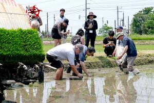 田植えに挑戦するハワイのコメオーナー=新発田市住田
