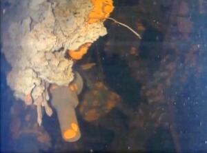 福島第1原発3号機の原子炉圧力容器の下部で見つかった溶融核燃料(デブリ)の可能性が高い塊(左上)=2017年7月(国際廃炉研究開発機構提供)