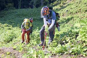 青葉組による植林作業。新潟・山のバトンは伐採から再造林を手がけ、放置林の減少を目指す=村上市