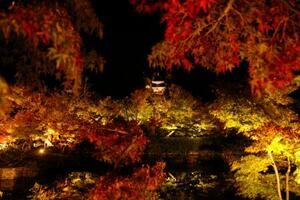 紅葉の名所として知られる永観堂禅林寺で行われた、夜の特別拝観「もみじのライトアップ」の試験点灯。赤く色づき始めた木々が鮮やかに浮かび上がった=7日夜、京都市左京区