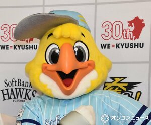 福岡ソフトバンクホークスのマスコット・ハリーホーク（C）ORICON NewS inc.