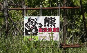 「熊出没注意!」の看板=14日、北海道福島町