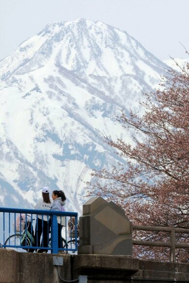 妙高山に「跳ね馬」現る♪上越地域に春告げる風物詩、今年は少し遅め