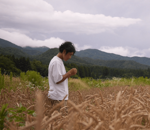 阿賀野市の麦畑で、原材料となる麦の生育を確認する西方健さん