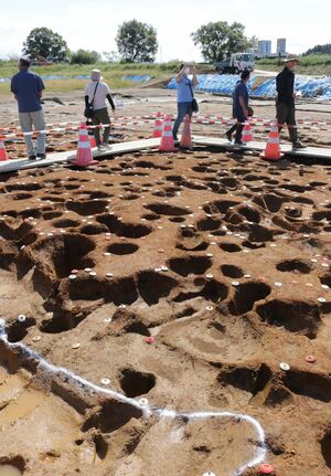 古墳時代の暮らしの痕跡が残る石港遺跡を見学する参加者=燕市渡部地区