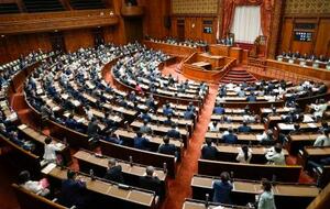 成年後見制度を見直す改正民法が可決、成立した参院本会議=17日午前