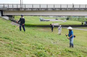 土手などの雑草を念入りに刈る魚野川鮎まるかじり祭実行委員会メンバーら=16日、南魚沼市六日町