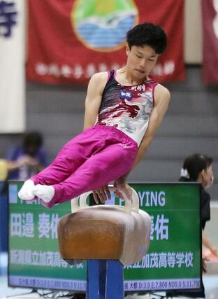 体操男子団体決勝　加茂の１年田邉奏佑のあん馬の演技＝８月１日、福岡県