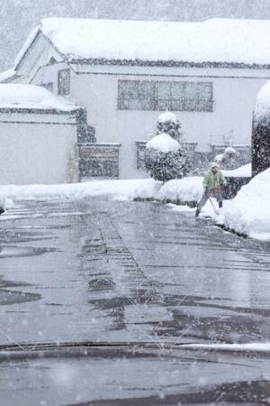 雪が降る中、塚野山地区で稼働する消雪パイプ＝長岡市塚野山