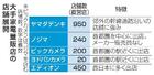 　大手家電量販店の店舗展開