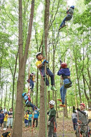 
森での遊びを楽しむ子どもたち＝６日、長岡市栖吉町
