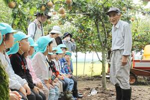 園児をナシ狩りに招待した吉川守さん=加茂市後須田