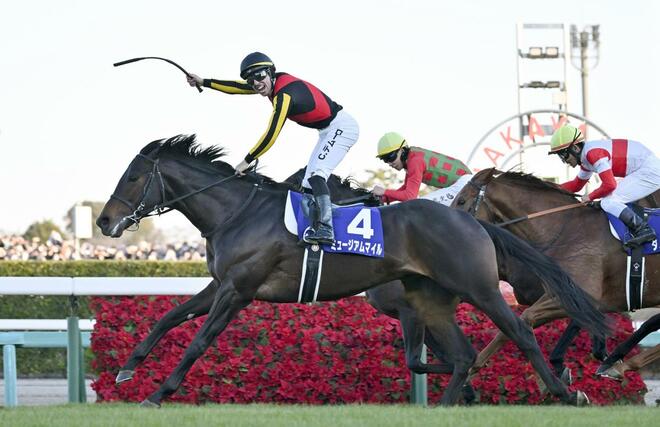 第７０回有馬記念を制したクリスチャン・デムーロ騎乗のミュージアムマイル＝中山競馬場