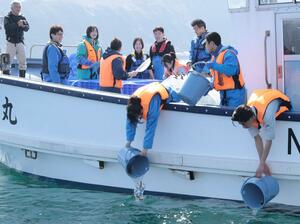 ノドグロの稚魚をバケツから海に放流する海洋高の生徒ら＝１７日、糸魚川市の筒石沖