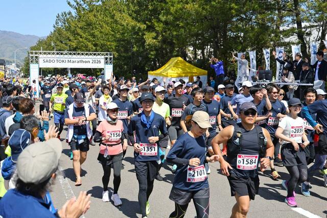 佐渡トキマラソンでスタート するランナー＝２６日、佐渡市