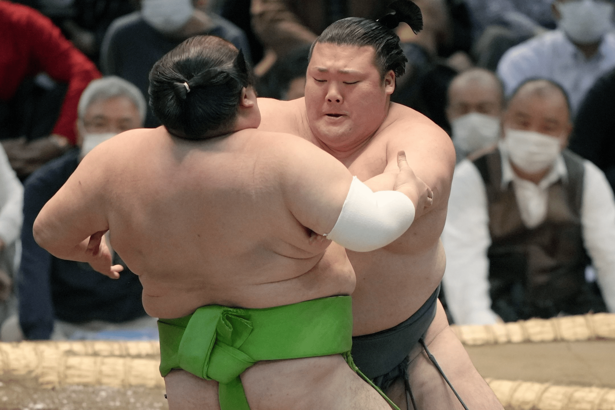 豊山我慢の相撲で2連勝 朝乃若は2連敗 新潟日報デジタルプラス 豊山我慢の相撲で2連勝 朝乃若は2連敗 新潟日報デジタルプラス