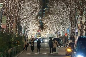 イルミネーションで彩られたＪＲ東京駅近くの丸の内仲通り＝東京都千代田区