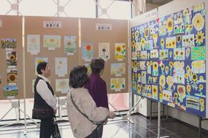 「ど根性ひまわり」の絵や写真が並ぶ作品展=小千谷市城内1